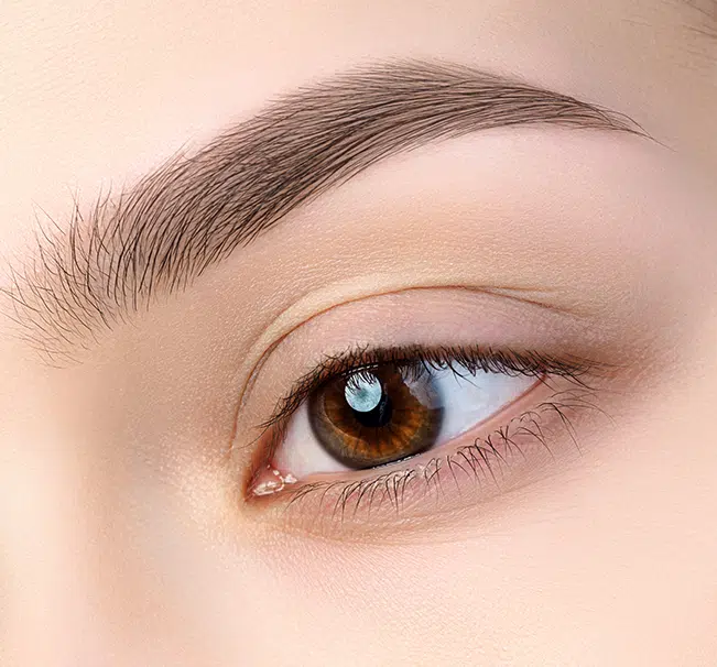 Close-up of youthful eye area highlighting refreshed appearance after eyelid surgery due to facial fat loss.